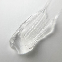 Future Gel - Poly Acryl Gel - Clear 30g